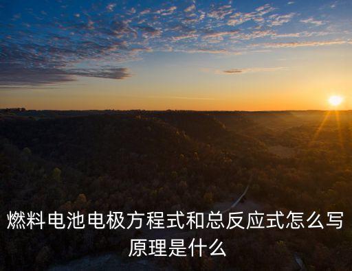 什么是燃料電池，燃料電池電極方程式和總反應(yīng)式怎么寫 原理是什么
