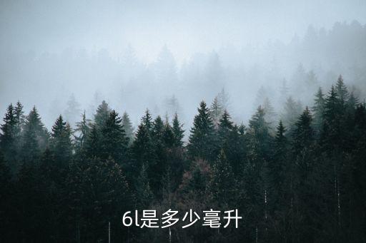 6l是多少毫升