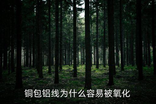 銅包鋁線為什么容易被氧化