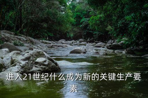進入21世紀(jì)什么成為新的關(guān)鍵生產(chǎn)要素