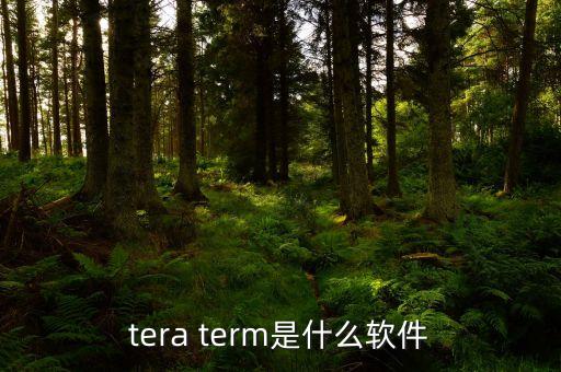 tera term是什么軟件