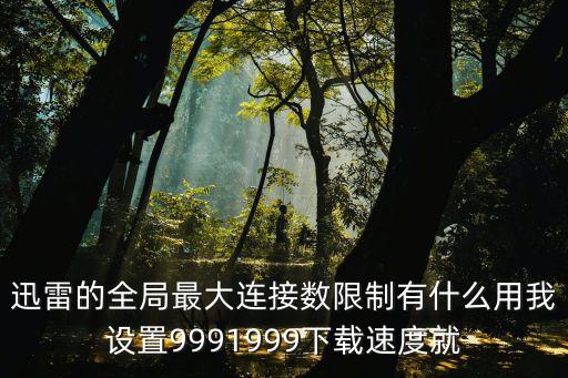 迅雷的全局最大連接數(shù)限制有什么用我設(shè)置9991999下載速度就