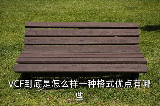 VCF到底是怎么樣一種格式優(yōu)點(diǎn)有哪些