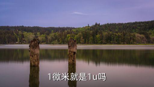 1微米就是1u嗎