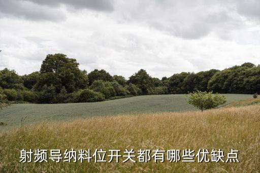 射頻導納料位開關(guān)都有哪些優(yōu)缺點