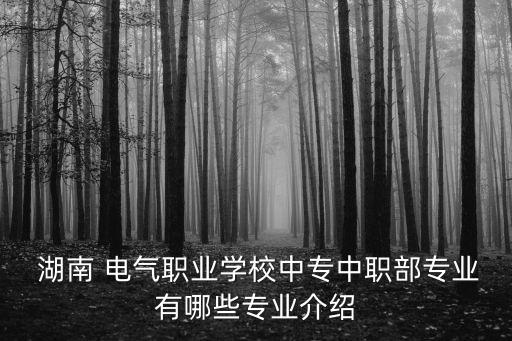 湖南電子電氣自動(dòng)化設(shè)備維保
