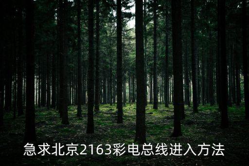 急求北京2163彩電總線進(jìn)入方法