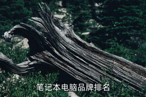 筆記本電腦品牌排名