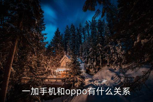 一加手機和oppo有什么關系