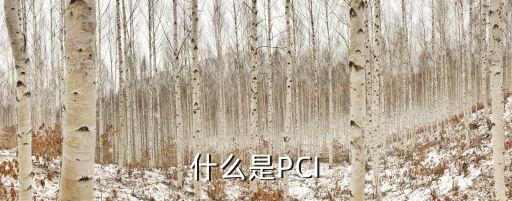什么是PCI