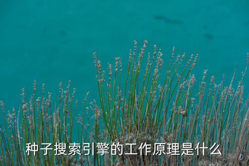 種子搜索引擎的工作原理是什么