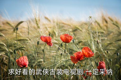 求好看的武俠古裝電視劇 一定采納