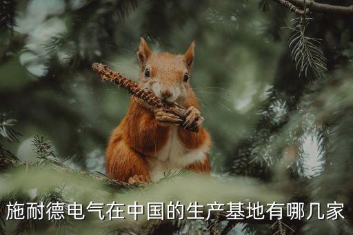 施耐德電氣在中國(guó)的生產(chǎn)基地有哪幾家