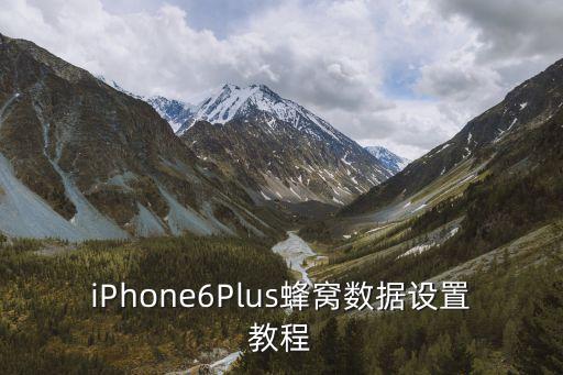 iPhone6Plus蜂窩數(shù)據(jù)設(shè)置教程