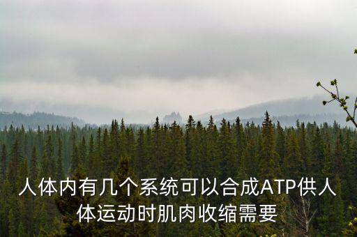 人體內(nèi)有幾個系統(tǒng)可以合成ATP供人體運動時肌肉收縮需要