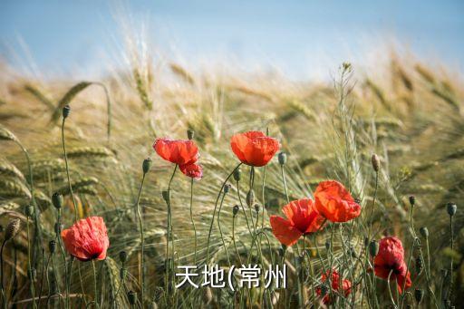 天地(常州