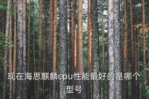 現(xiàn)在海思麒麟cpu性能最好的是哪個(gè)型號(hào)