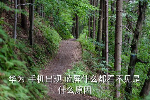 華為 手機(jī)出現(xiàn) 藍(lán)屏什么都看不見是什么原因