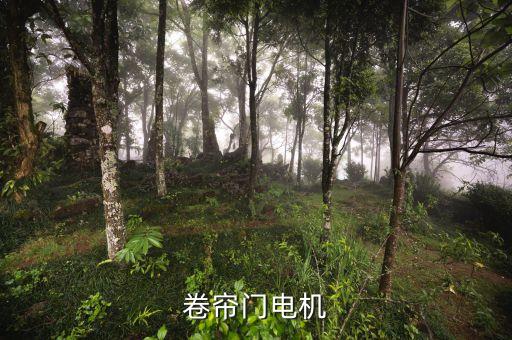 卷簾門電機