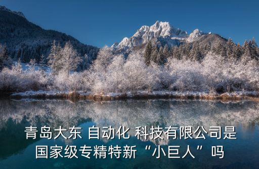  青島大東 自動化 科技有限公司是國家級專精特新“小巨人”嗎