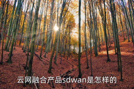 云網(wǎng)融合產(chǎn)品sdwan是怎樣的