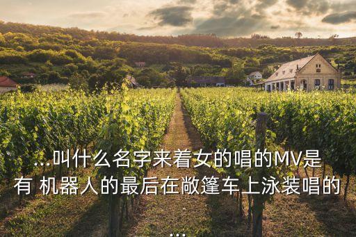 ...叫什么名字來著女的唱的MV是有 機(jī)器人的最后在敞篷車上泳裝唱的...