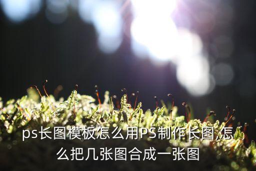 切片圖