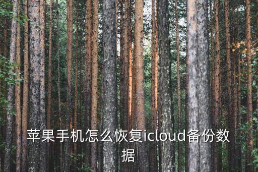 數(shù)據(jù)備份怎么恢復,蘋果怎么恢復備份?