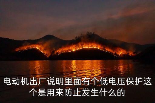 電動機出廠說明里面有個低電壓保護這個是用來防止發(fā)生什么的