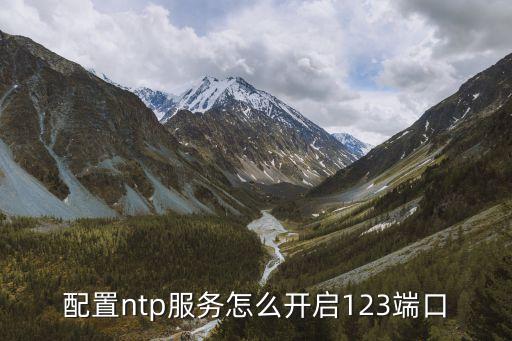 配置ntp服務怎么開啟123端口