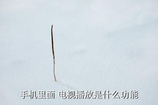 手機里面 電視播放是什么功能