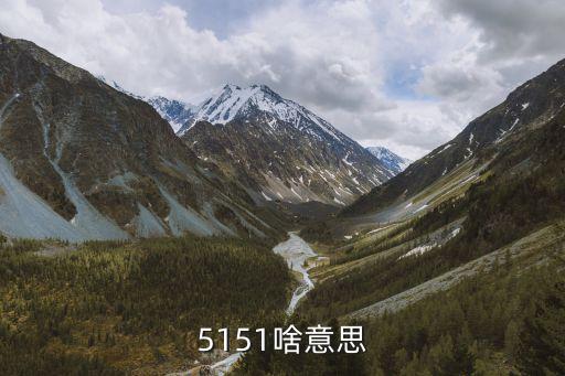 5151，誰(shuí)知道5151說(shuō)成漢字的意思