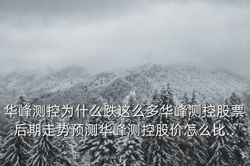 自動化測試龍頭公司,智能自動化公司做的最好是哪家?