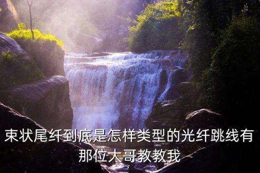 束狀尾纖到底是怎樣類型的光纖跳線有那位大哥教教我