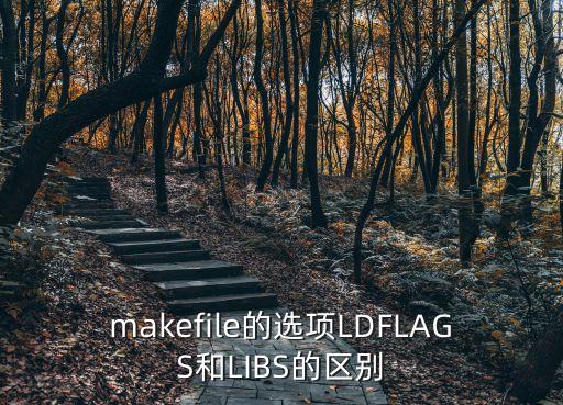 makefile的選項LDFLAGS和LIBS的區(qū)別