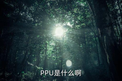 PPU是什么啊