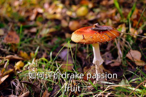 drake歌手，如何評(píng)價(jià)drake passionfruit