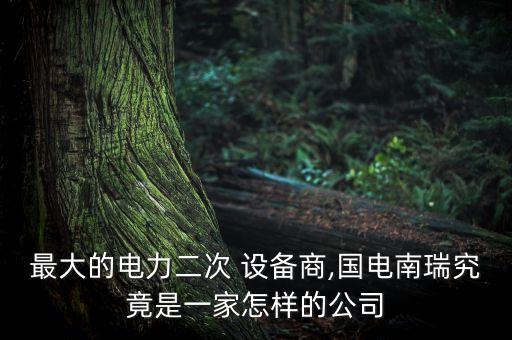 最大的電力二次 設(shè)備商,國(guó)電南瑞究竟是一家怎樣的公司