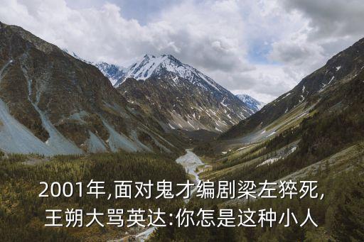 2001年,面對(duì)鬼才編劇梁左猝死,王朔大罵英達(dá):你怎是這種小人