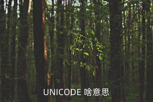 UNICODE 啥意思