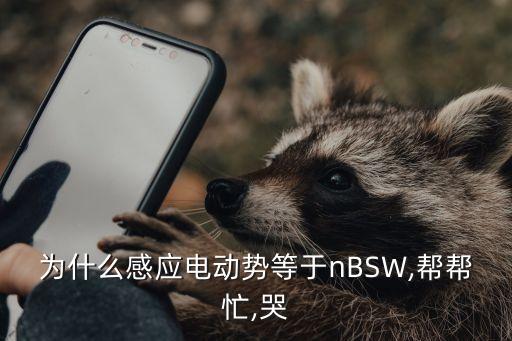 為什么感應(yīng)電動勢等于nBSW,幫幫忙,哭