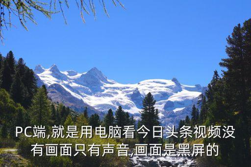 PC端,就是用電腦看今日頭條視頻沒有畫面只有聲音,畫面是黑屏的