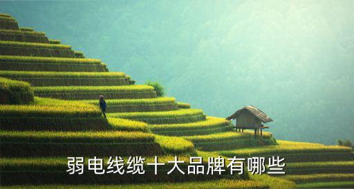 弱電線纜十大品牌有哪些