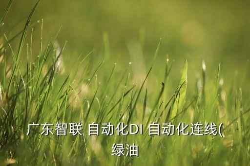 廣東智聯(lián) 自動化DI 自動化連線(綠油