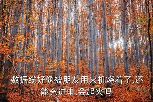數(shù)據(jù)線會被燒壞嗎,iphone數(shù)據(jù)線燒壞觸點