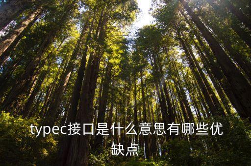  typec接口是什么意思有哪些優(yōu)缺點(diǎn)
