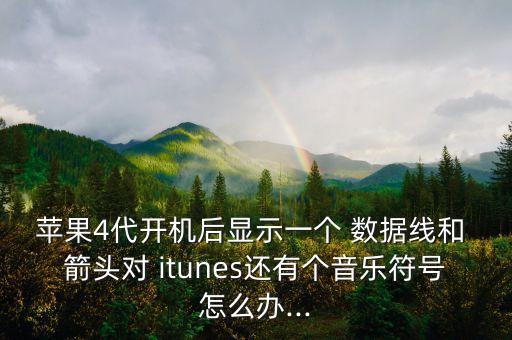 蘋果4代開機(jī)后顯示一個 數(shù)據(jù)線和 箭頭對 itunes還有個音樂符號怎么辦...