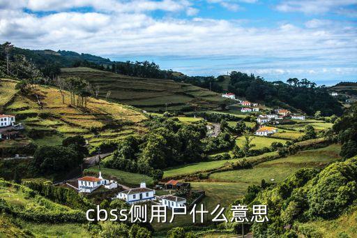 cbss側(cè)用戶什么意思