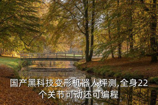 國產(chǎn)黑科技變形機器人評測,全身22個關節(jié)可動還可編程