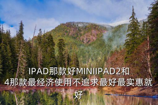款好，IPAD那款好MINIIPAD2和4那款最經(jīng)濟(jì)使用不追求最好最實(shí)惠就好